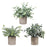 3 Pieces Artificial Potted Plants Artificial Bonsai for Office Bedroom Shelf