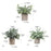 3 Pieces Artificial Potted Plants Artificial Bonsai for Office Bedroom Shelf