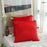 Velvet Pillow Cover Multifunctional Throw Pillow Cover for Bedroom Car Couch Red