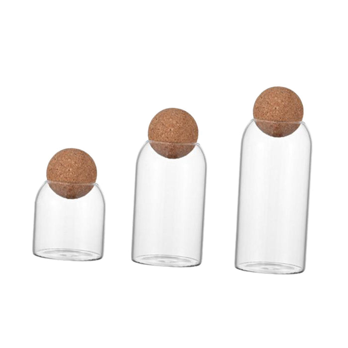 3 Pieces Glass Storage Containers Cute Sealed Can Glass Bottle with Cork Lid Smooth