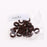 10 Pairs Anti Slip Silicone Ear Hooks Holder for Eyeglass Sunglasses Brown