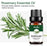 10ml Pure Natural Plant Extract Massage Essential Oils Aromatherapy