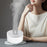 Crofta Portable Mini air humidifier  Double spray 1000ml USB Rechargeable White