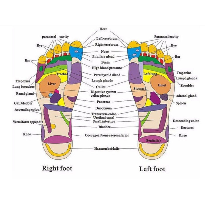 Crofta 1 Pair Foot Massage Slipper Acupressure Foot Acupuncture Shoes Red 37-38