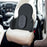 Crofta Waist Cushion Lumbar Support Pillow Portable for Cars Drivers Computer Chair Gray