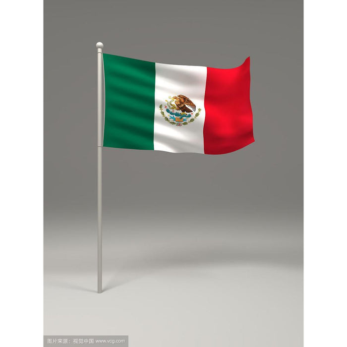 Crofta 12PCS Flag Flags Banner Hand Waving Flag National Pride Flag Mexico