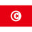 Crofta 12PCS Flag Flags Banner Hand Waving Flag National Pride Flag Tunisia