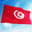 Crofta 12PCS Flag Flags Banner Hand Waving Flag National Pride Flag Tunisia