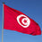 Crofta 12PCS Flag Flags Banner Hand Waving Flag National Pride Flag Tunisia