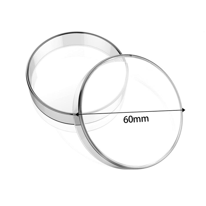 Crofta 10x Glass Petri Dishes Culture Dishes Reusable Easy Clean for Accessories 60mm