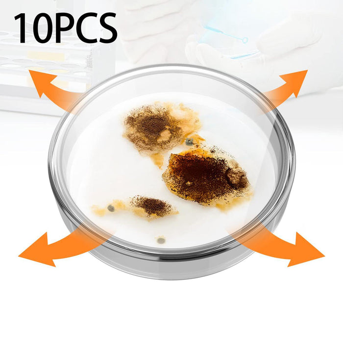 Crofta 10x Glass Petri Dishes Culture Dishes Reusable Easy Clean for Accessories 60mm