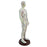 21.2inch Tall Acupuncture Model Accessory for Professionals Human Body Model Male