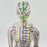 21.2inch Tall Acupuncture Model Accessory for Professionals Human Body Model Female