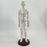 21.2inch Tall Acupuncture Model Accessory for Professionals Human Body Model Female