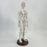 21.2inch Tall Acupuncture Model Accessory for Professionals Human Body Model Female