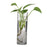 Crofta Cylinder Clear Glass Wall Hanging Vase Bottle for Plant Flower Decorations