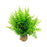 Crofta Artificial Plants Aquarium Decoration Realistic Fake Plants Artificial Stems 23x22x23cm