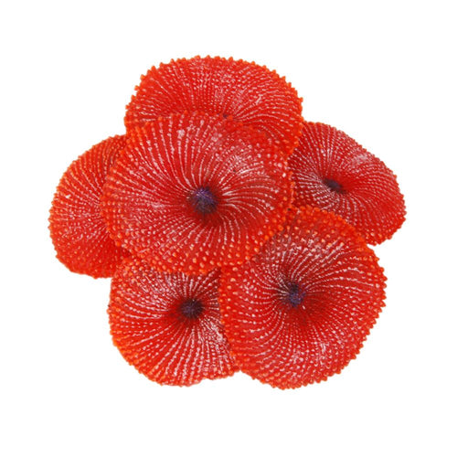 Crofta Artificial Coral Plant Fake Soft Ornament Decor For Aquarium Fish Tank Red