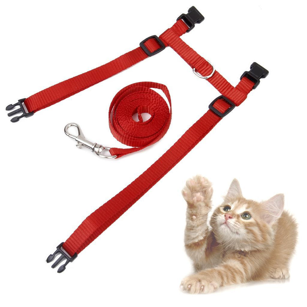 Crofta Adjustable Pet Cat Kitten Belt Nylon Lead Leash Collar Harness Safety Strap Rope