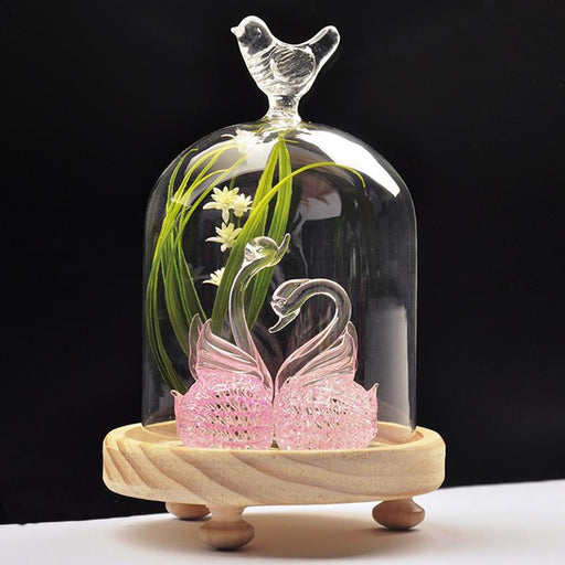 Crofta Bird Decorative Glass Cover Micro Landscape DIY Holder Terrarium Container