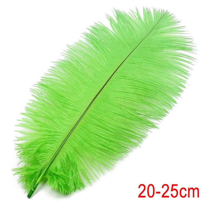 Crofta 10pcs Ostrich Feather Crafts for Costume Hats Cards DIY Decor-Green