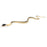 Crofta 18 Inch Snake Model Pretend Trick Toy