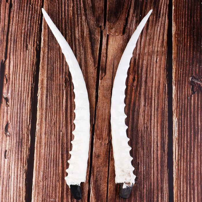 14" Lightweight Antelope Horns Animal Aries Exhibition Gothic Cosplay Props