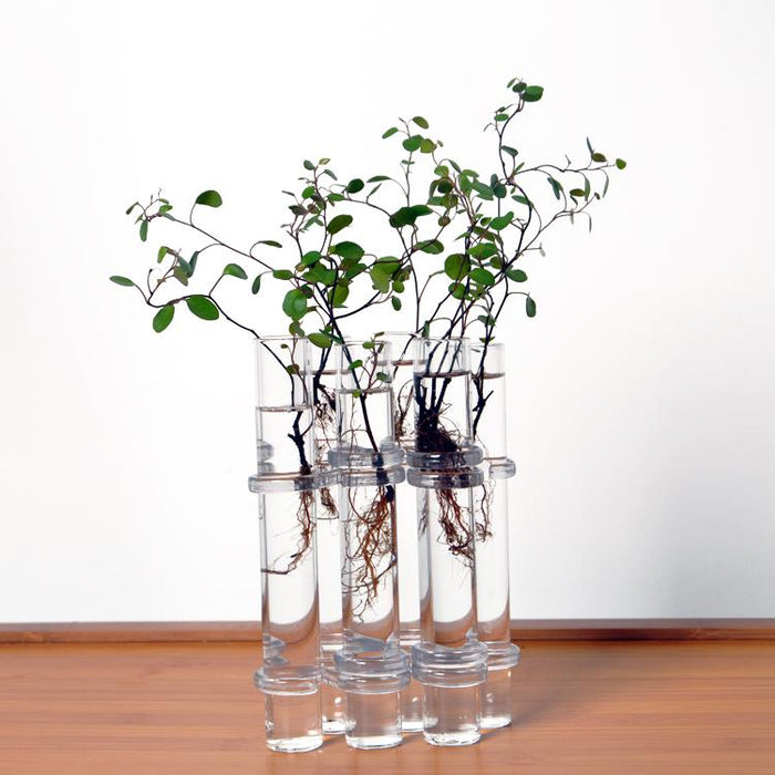 Crofta 6Pieces Creative Glass Test Tubes Hanging Flower Bottle Micro-Landscape Planter Vase Pot