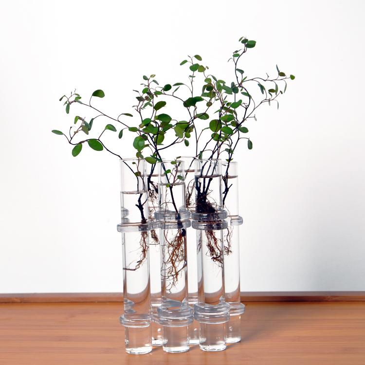 Crofta 6Pieces Creative Glass Test Tubes Hanging Flower Bottle Micro-Landscape Planter Vase Pot