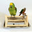 Crofta Wooden Parrot Stand Bird Standing Toy Play Cage Toys Claws Grinding