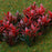 Crofta 100 Pcs Flowering Plants Scenery Landscape Scale 1:100 Red