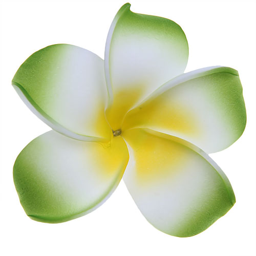 Crofta Women Girls Ladies Plumeria Flower Foam Hair Clip Pin Headwear Hair Accessory Green