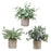 3 Pieces Artificial Potted Plants Artificial Bonsai for Office Bedroom Shelf