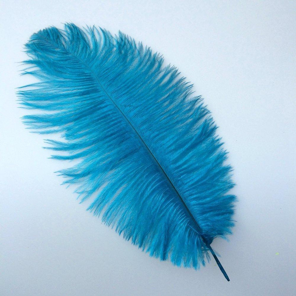 Crofta 10pcs/Lot Beautiful Ostrich Feathers 15-20cm - Navy Blue