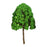 Crofta 50x Model Trees Accessories Miniature Trees for Landscape Railway DIY Crafts green